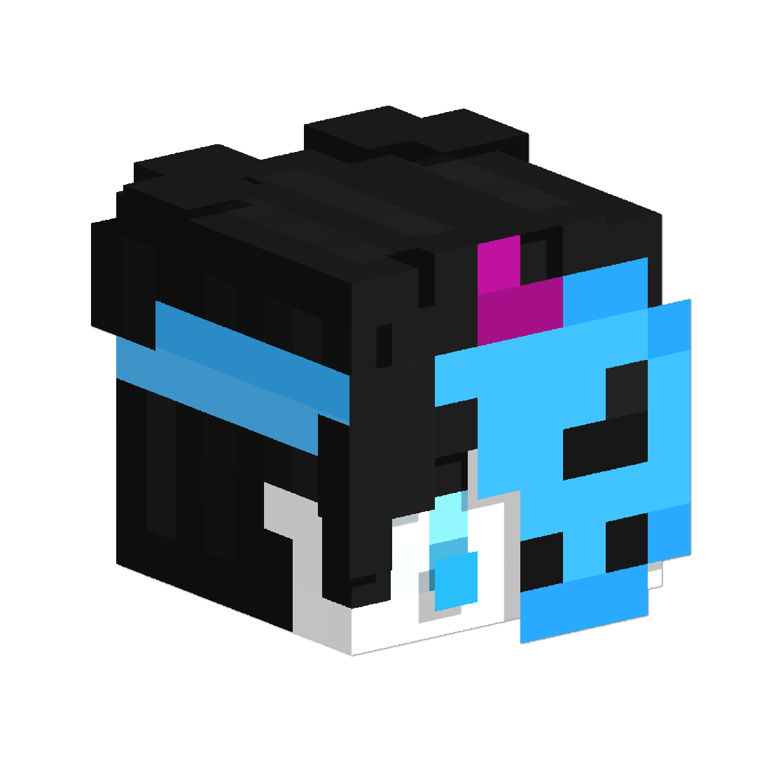 Owner